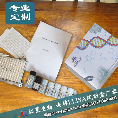 NFκBp65檢測試劑盒，核因子κB亞基p65親和肽試劑盒說明書