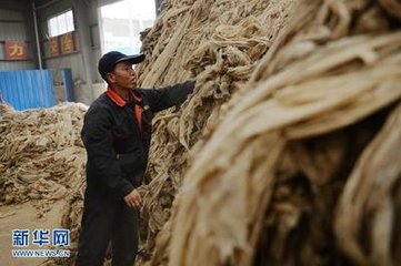 2017甘肅慶陽廢舊農膜回收率達81.7% 回收廢舊農膜27282噸
