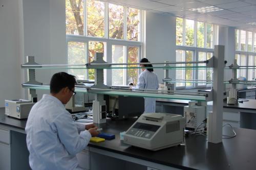 云南省科技廳：云南已經正式啟動稀貴金屬材料基因工程