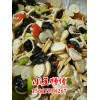 學鹵菜培訓技術
