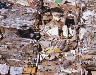 3月29日：全國各地區紙廠廢紙價格調整一覽