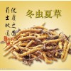 朝陽區有收購冬蟲夏草13611114534朝陽回收阿膠