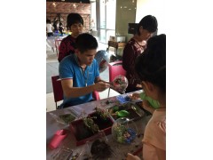 417微景觀DIY承接深圳DIY微景觀活動