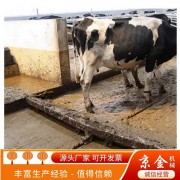 牛刮糞機(jī) 清糞機(jī) 養(yǎng)殖清糞設(shè)備