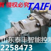 TFB1V80Y/1X-LRB2柱塞泵 代替YCY系列油泵