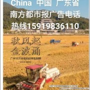 南方都市報上線下辦理全攻略電話