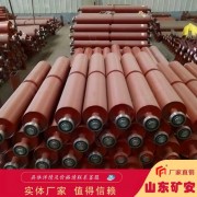 帶式給料機(jī)托輥規(guī)格齊全